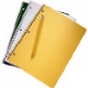 Curriculum